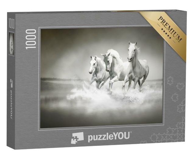 Puzzle de 1000 pièces « Un troupeau de chevaux blancs »