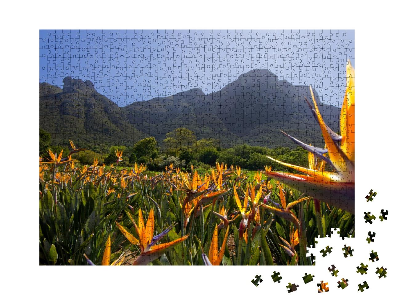 Puzzle de 1000 pièces « Fleurs de strelitzia dans les jardins de Kirstenbosch »