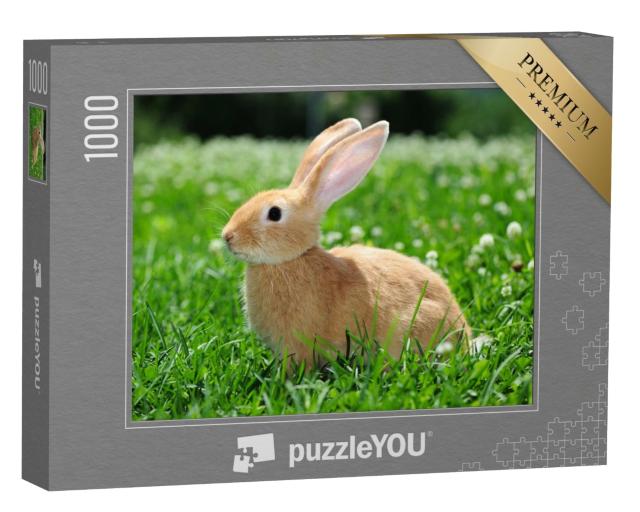 Puzzle de 1000 pièces « Les lapins dans la nature »