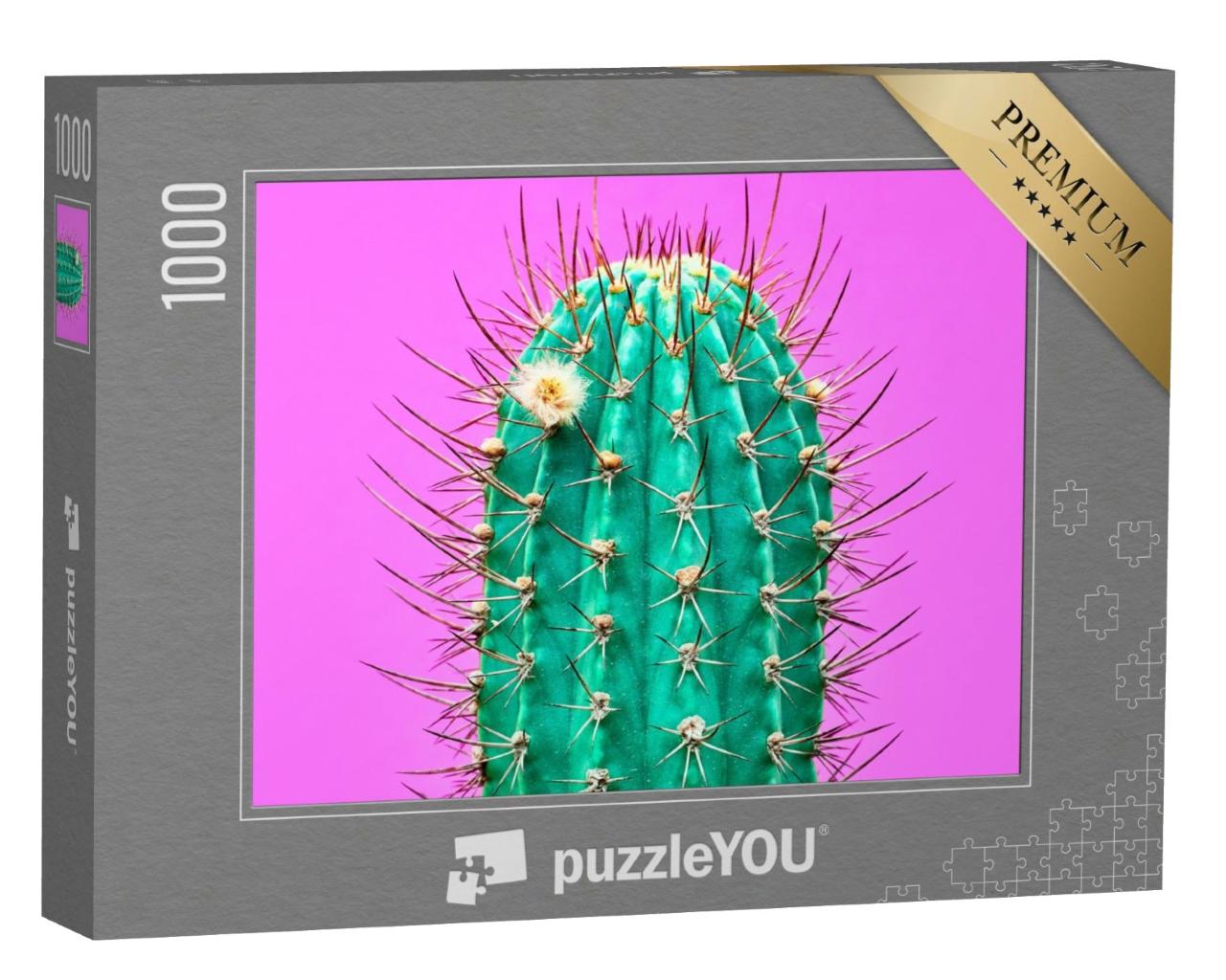 Puzzle de 1000 pièces « Art contemporain : Cactus à la mode sur fond rose »