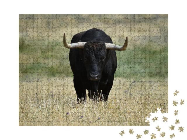 Puzzle de 1000 pièces « Un taureau noir avec de grandes cornes dans le champ »