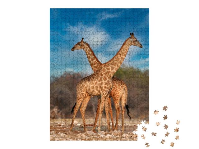 Puzzle de 1000 pièces « Deux girafes »