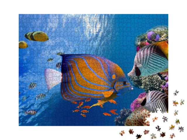 Puzzle de 1000 pièces « Monde sous-marin enchanteur, mer Rouge »