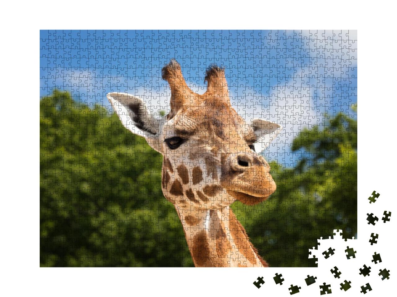 Puzzle de 1000 pièces « Girafe curieuse »