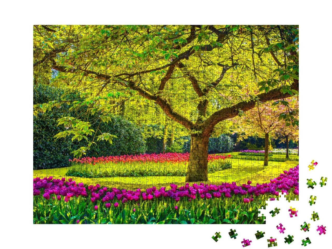 Puzzle de 1000 pièces « Tulipes, Keukenhof, Pays-Bas »