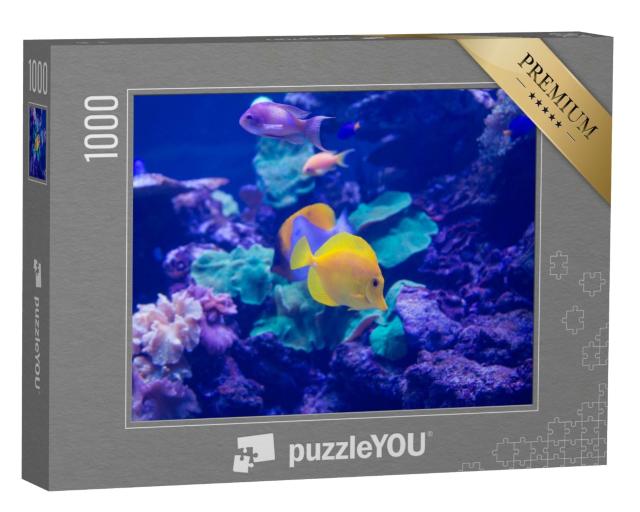 Puzzle de 1000 pièces « Les poissons de mer nagent dans l'aquarium »