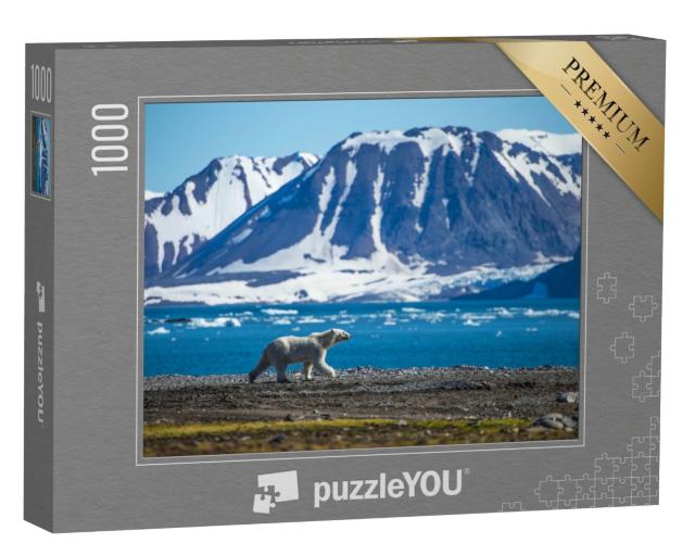 Puzzle de 1000 pièces « Un ours polaire dans le sud du Svalbard »