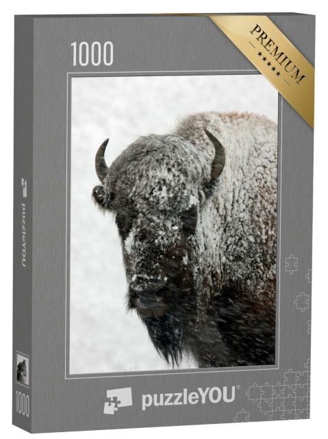 Puzzle de 1000 pièces « Bison dans la neige, parc national de Yellowstone »