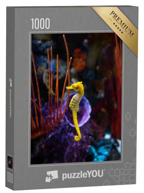 Puzzle de 1000 pièces « Hippocampes dans l'aquarium »