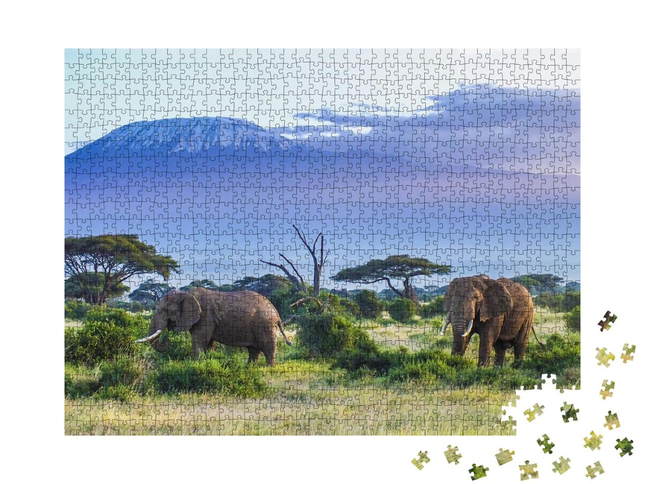 Puzzle de 1000 pièces « Les éléphants du Kilimandjaro »