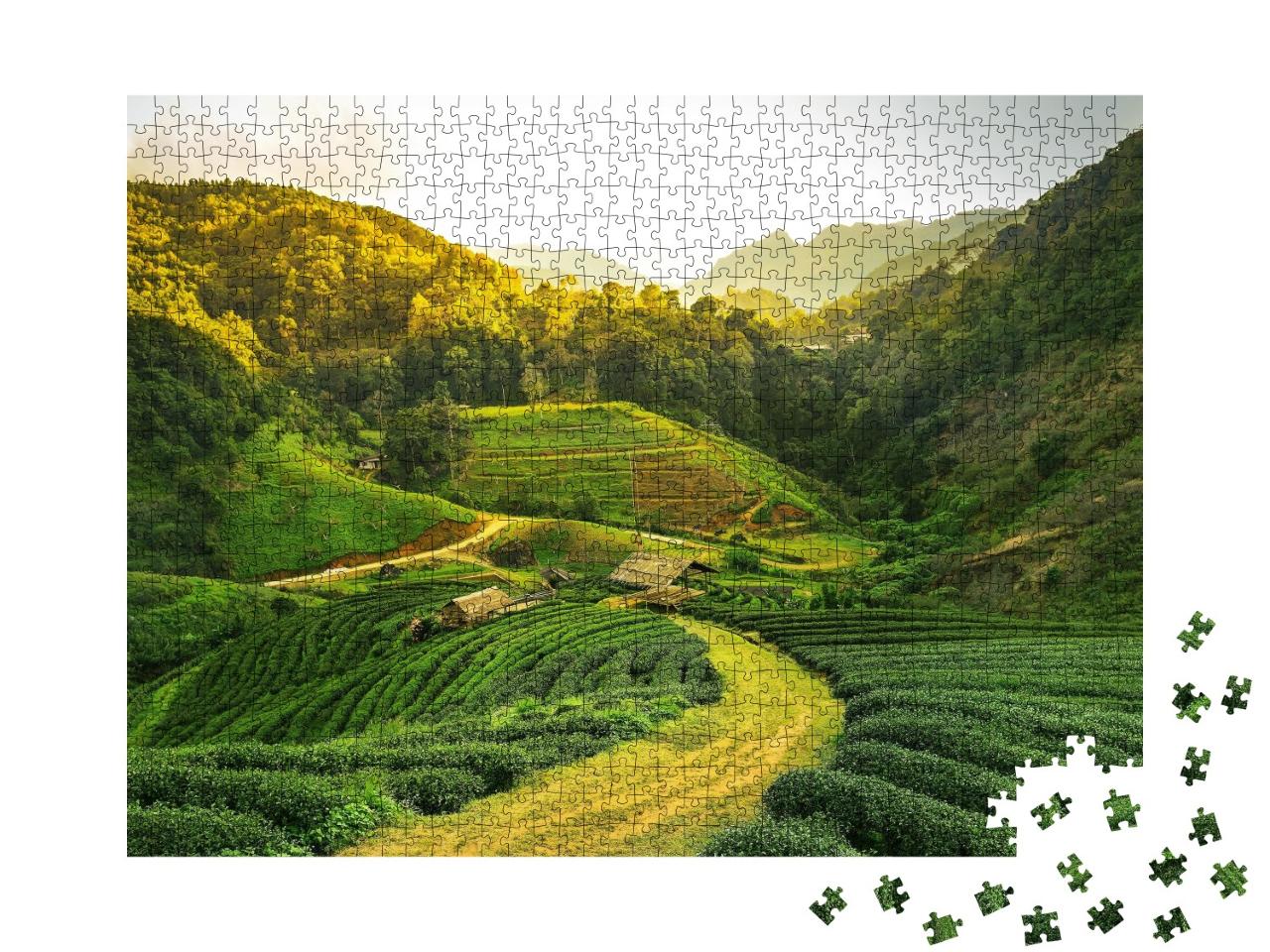 Puzzle de 1000 pièces « Vue d'une plantation de thé au lever du soleil »
