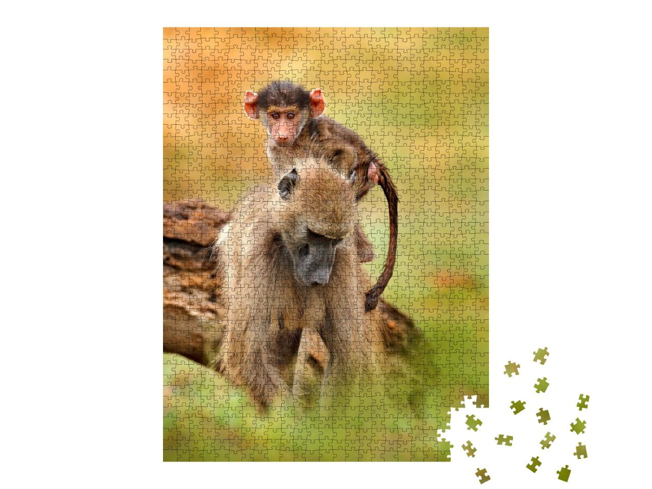 Puzzle de 1000 pièces « Femelle babouin chacma avec son petit, delta de l'Okavango, Botswana »