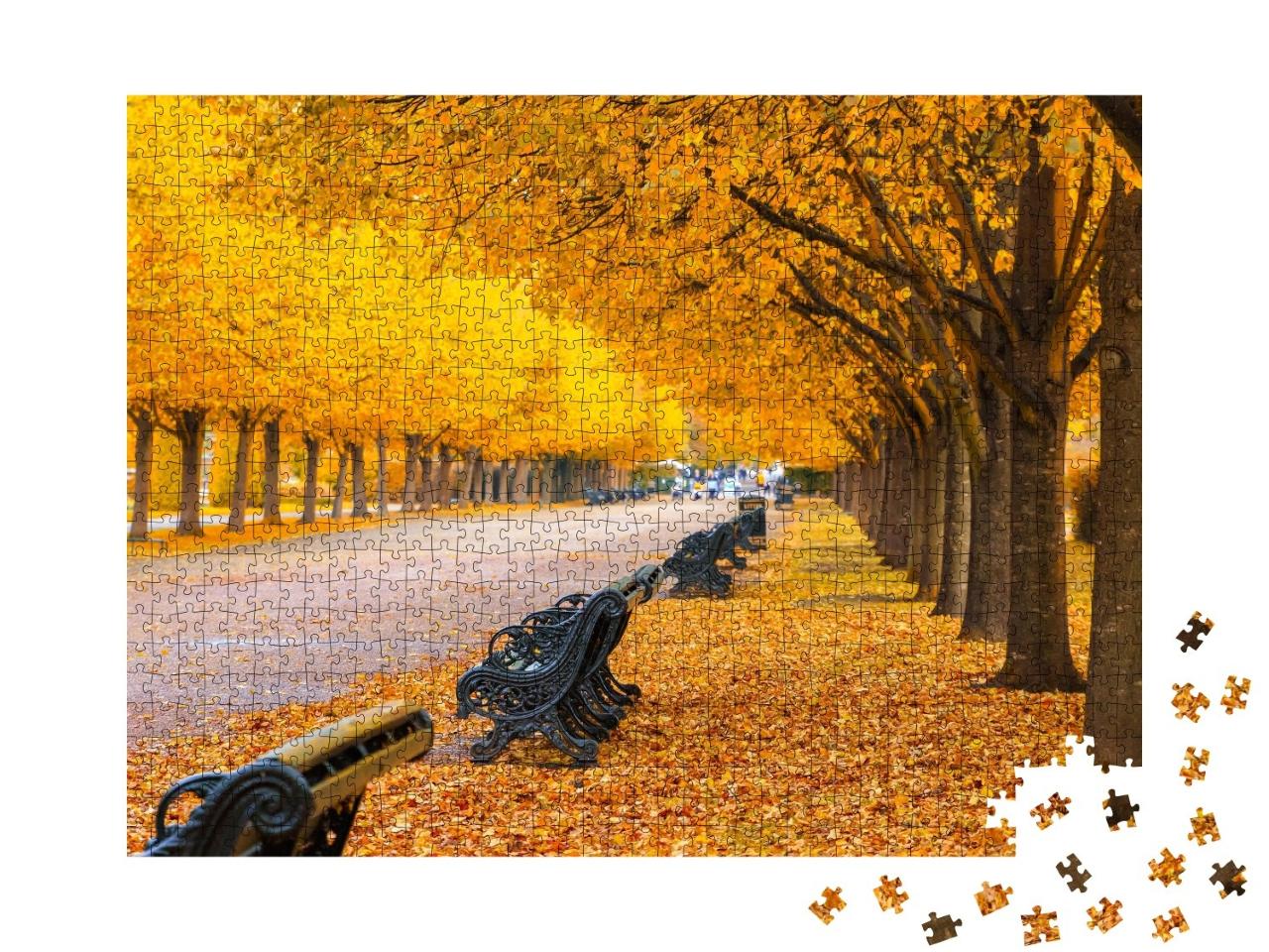 Puzzle de 1000 pièces « Allée bordée d'arbres dans Regent's Park, Londres »