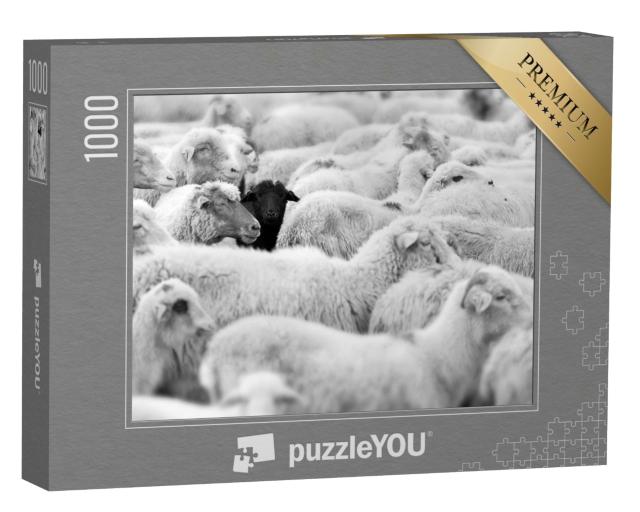 Puzzle de 1000 pièces « Un mouton noir dans le troupeau des blancs »