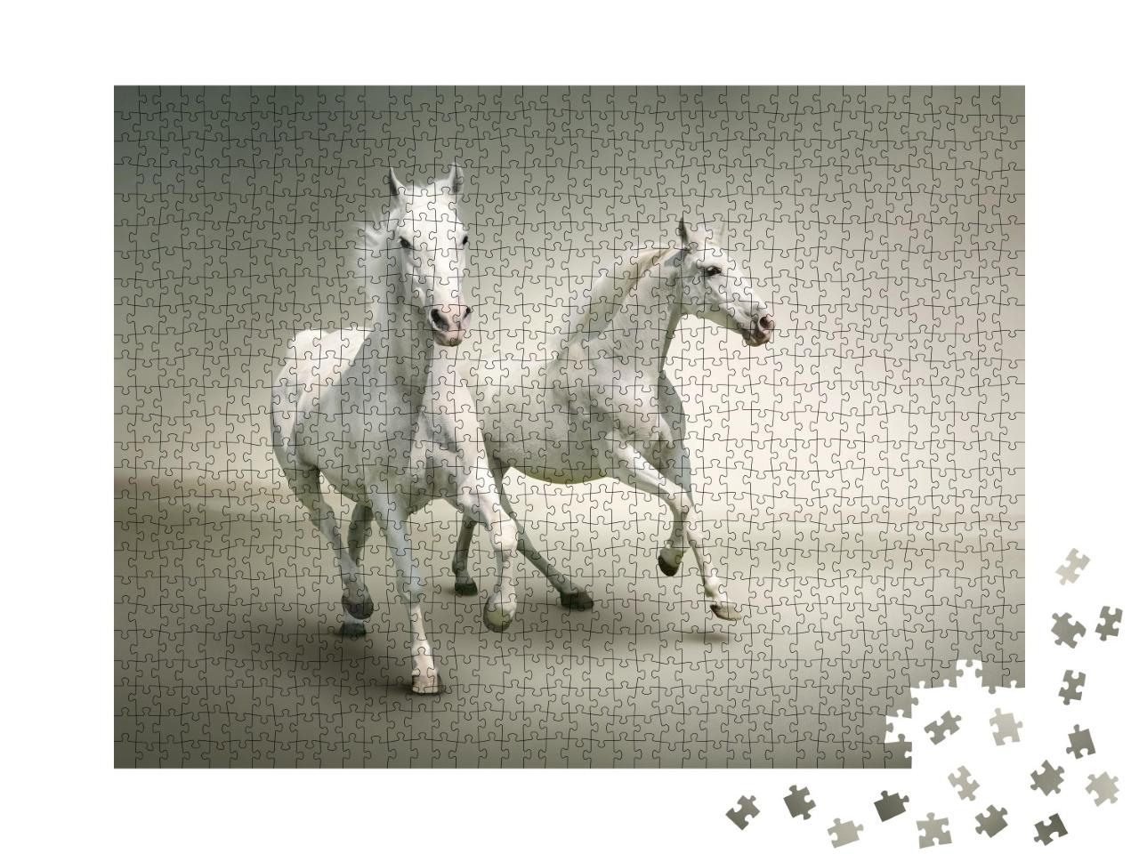 Puzzle de 1000 pièces « Chevaux blancs »