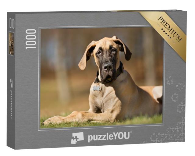 Puzzle de 1000 pièces « Un dogue allemand de pure race sans laisse à l'extérieur dans la nature »