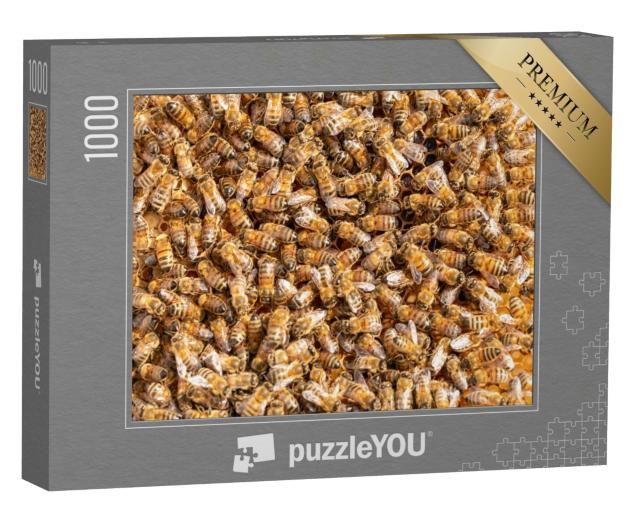 Puzzle de 1000 pièces « Abeilles à miel de travail sur un cadre d'une ruche »