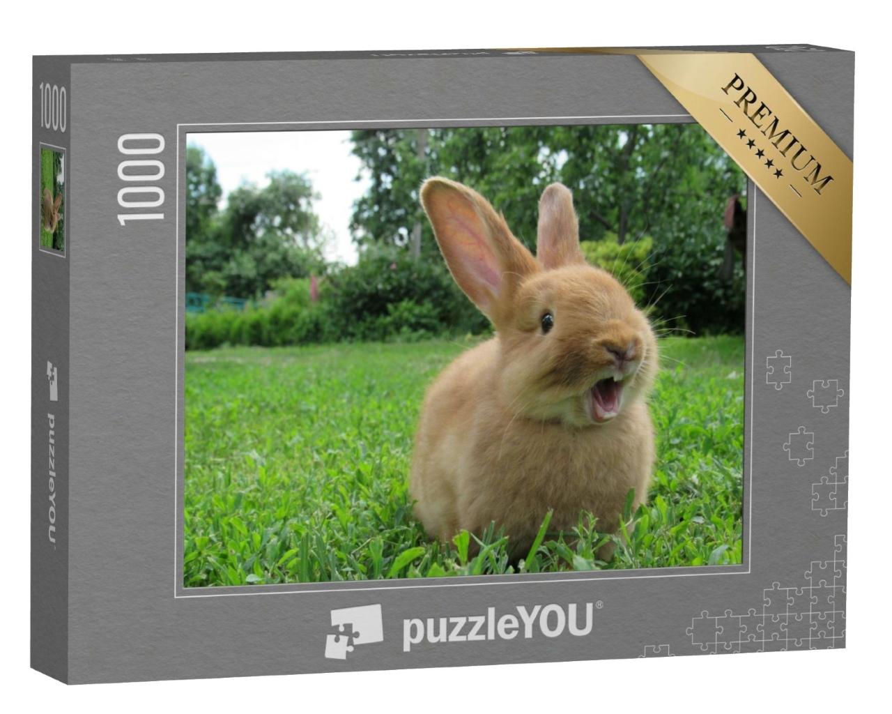 Puzzle de 1000 pièces « Petit lapin qui bâille »