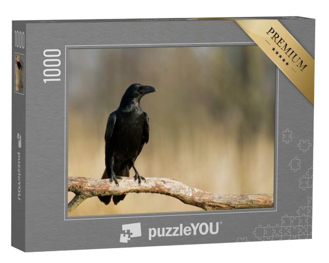 Puzzle de 1000 pièces « Grand corbeau sur une branche »