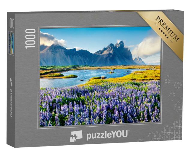 Puzzle de 1000 pièces « Lupins en fleurs au Vestrahorn, côte islandaise »