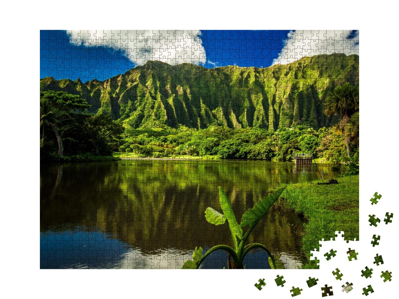 Puzzle de 1000 pièces « Jardin botanique Ho'omaluhia à Kaneohe, Oahu, Hawaii »