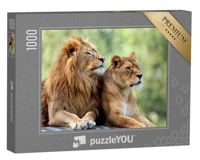 Puzzle de 1000 pièces « Lion mâle et lion femelle »