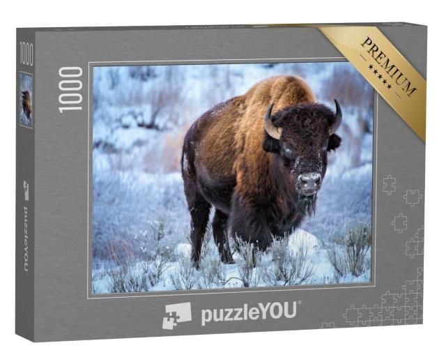 Puzzle de 1000 pièces « Bison américain dans la neige, parc national de Yellowstone »