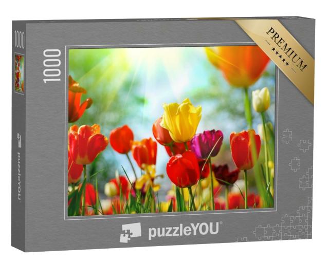 Puzzle de 1000 pièces « Prairie de tulipes sous le soleil de printemps »