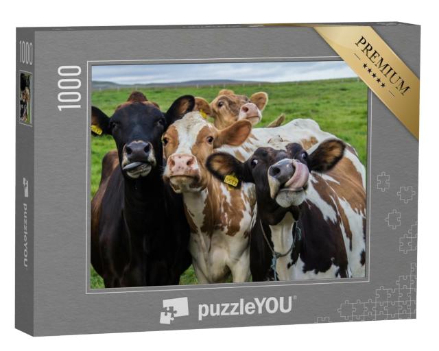 Puzzle de 1000 pièces « Quatre vaches regardent la caméra »