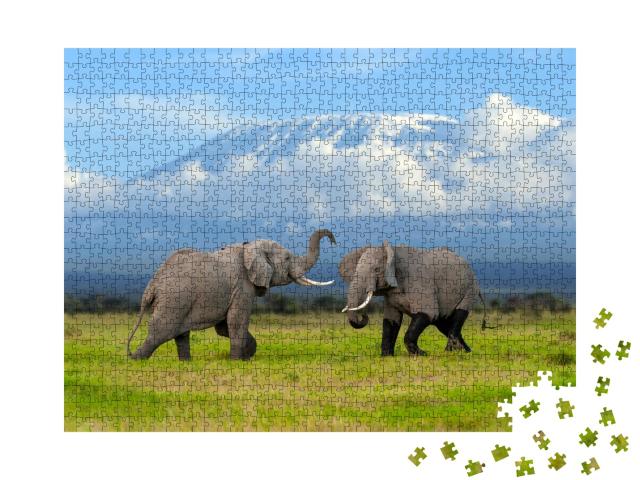Puzzle de 1000 pièces « Eléphant devant le Kilimandjaro enneigé »