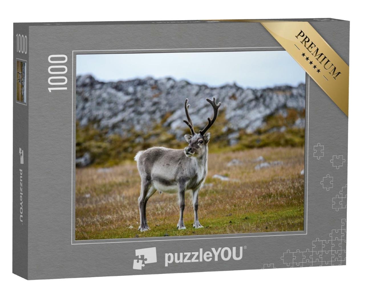 Puzzle de 1000 pièces « Le renne dans son habitat naturel »