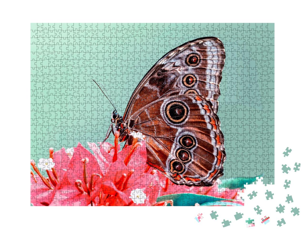Puzzle de 1000 pièces « Un papillon »