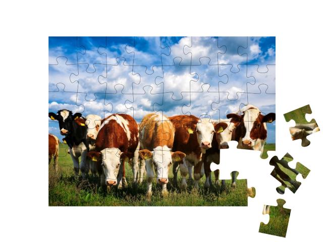 Puzzle de 48 pièces « Vaches dans une verte prairie d'été »