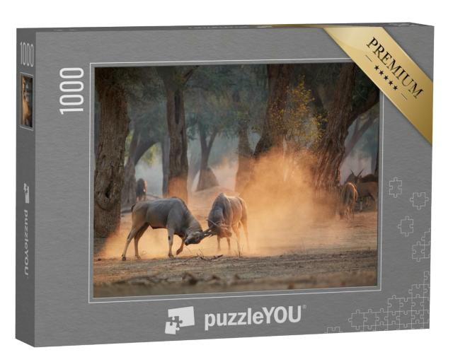 Puzzle de 1000 pièces « Antilope Eland, Taurotragus Oryx, Zimbabwe »