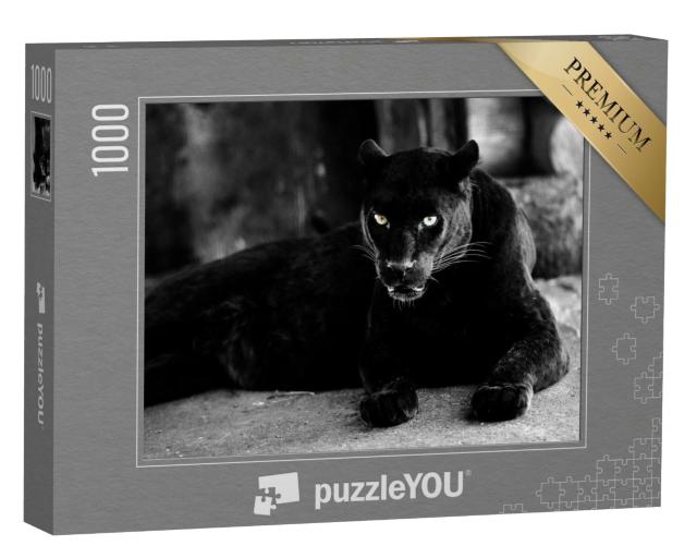 Puzzle de 1000 pièces « Belle panthère noire »