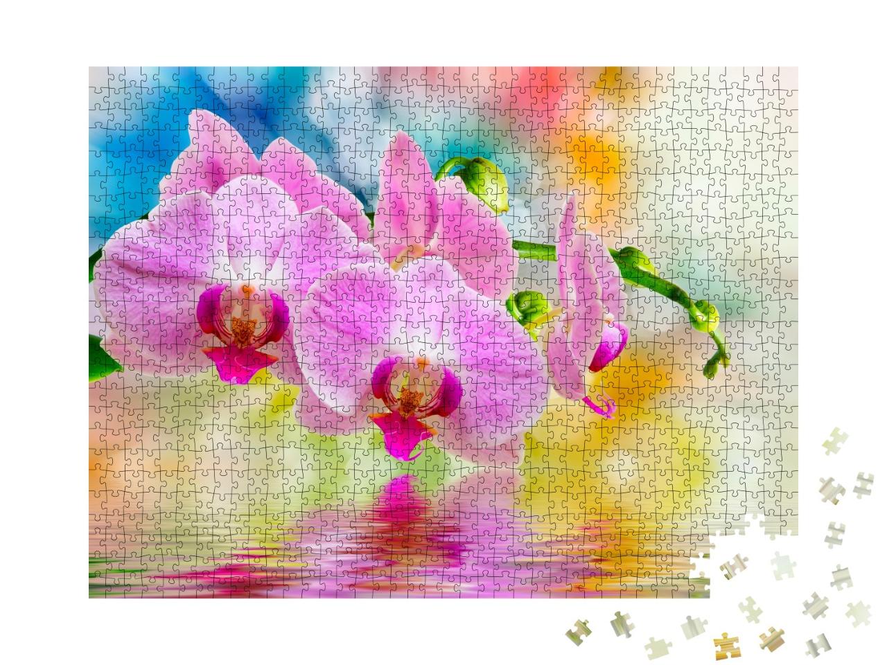 Puzzle de 1000 pièces « Gros plan sur une orchidée »