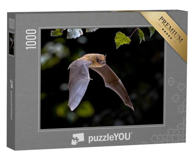 Puzzle de 1000 pièces « Pipistrelle Chauve-souris en vol dans la forêt »