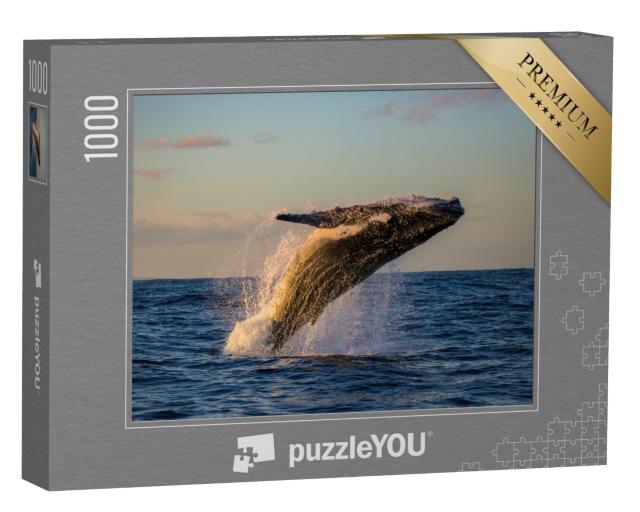 Puzzle de 1000 pièces « Baleine à bosse en train de sauter au crépuscule »