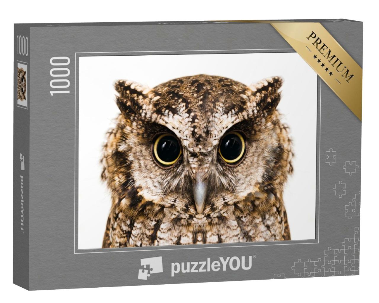 Puzzle de 1000 pièces « Photo d'une chouette, prise en macro »