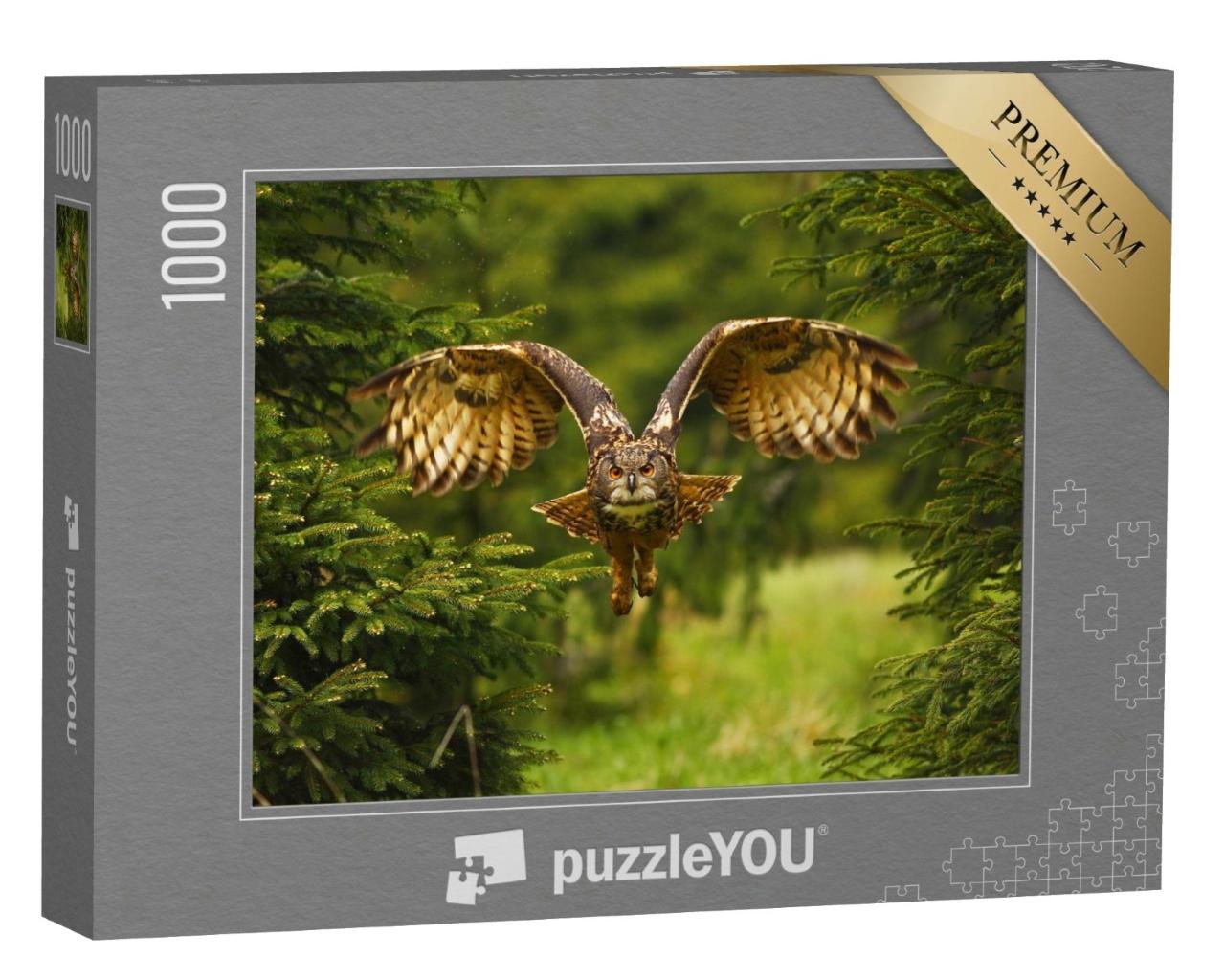 Puzzle de 1000 pièces « Photo d'un grand-duc en vol »