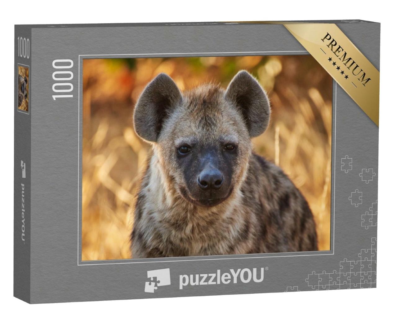 Puzzle de 1000 pièces « Jeune hyène dans la lumière du soir »