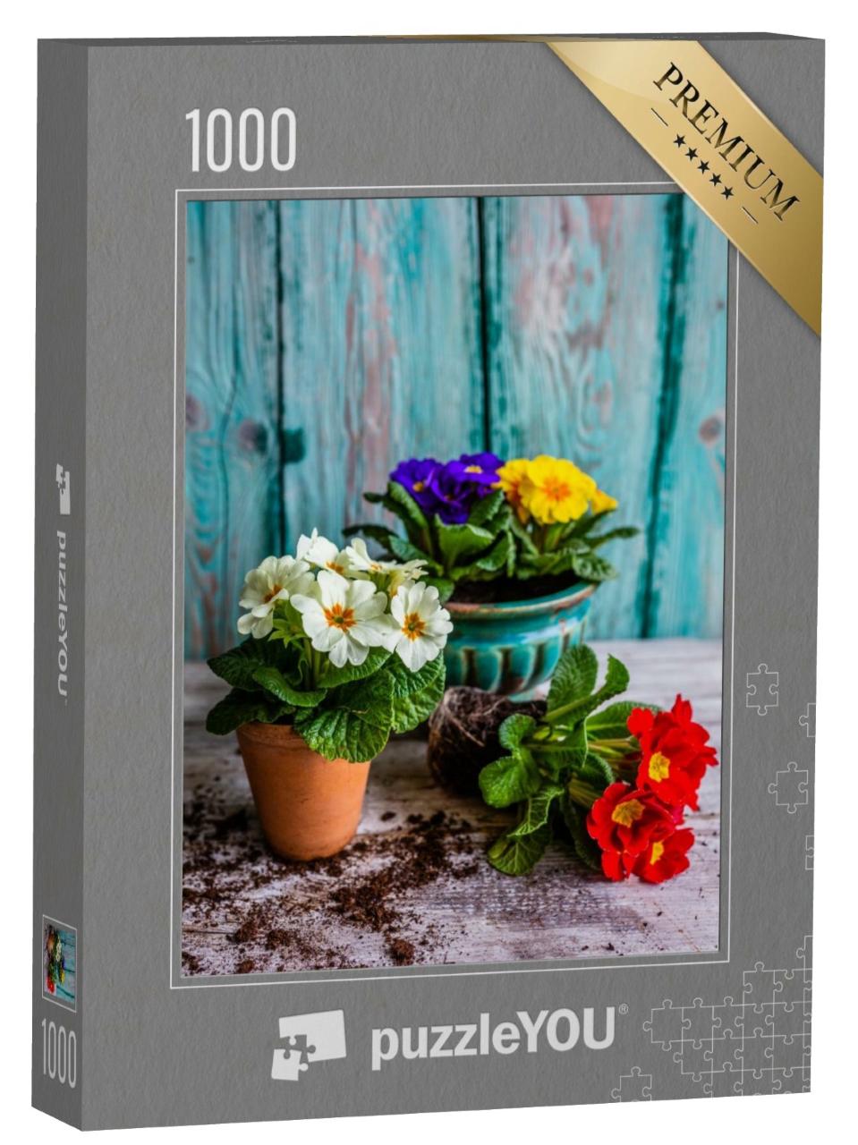 Puzzle de 1000 pièces « Primevères colorées, prêtes à être plantées »