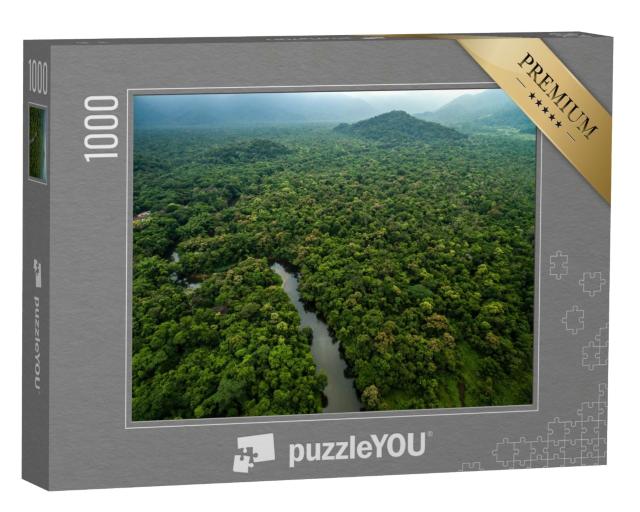 Puzzle de 1000 pièces « Vue aérienne d'une rivière dans la forêt tropicale, Amérique latine »