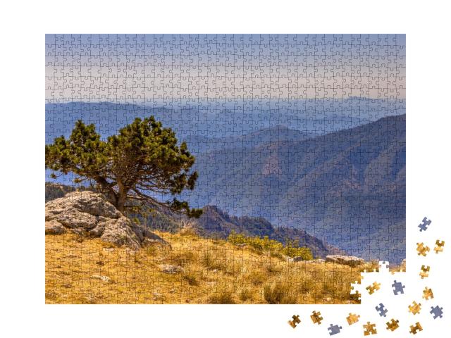 Puzzle de 1000 pièces « Paysage d'altitude sur le Mont Aigoual, Occitanie, France »