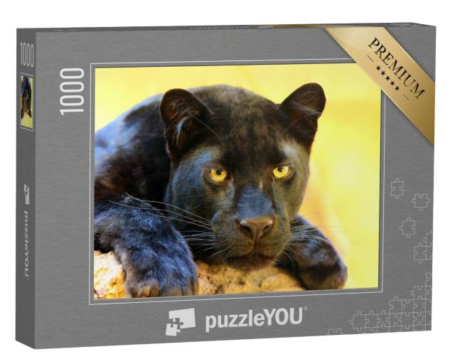 Puzzle de 1000 pièces « Le léopard, également appelé panthère noire »