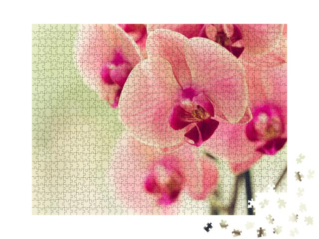 Puzzle de 1000 pièces « Branche d'orchidée rose pâle en fleurs »