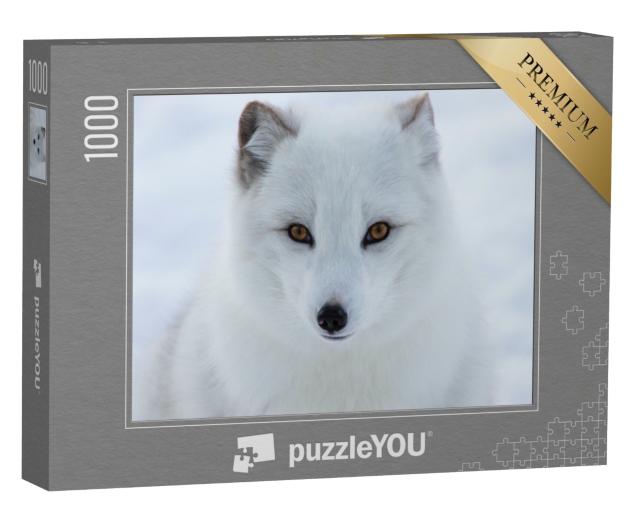 Puzzle de 1000 pièces « Portrait d'un renard polaire »