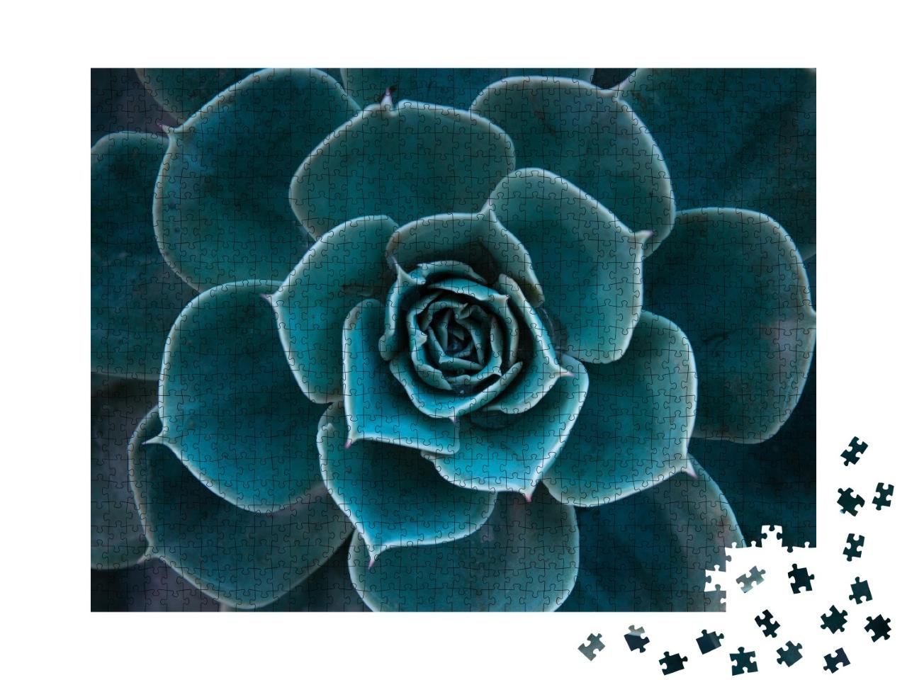 Puzzle de 1000 pièces « La beauté de la nature : gros plan sur un cactus encroûté »