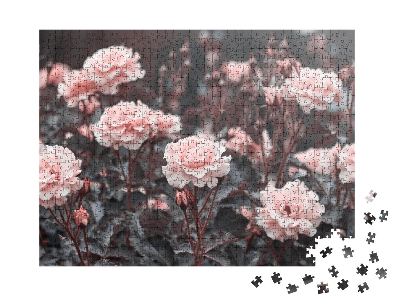 Puzzle de 1000 pièces « Des roses roses délicates dans le jardin »