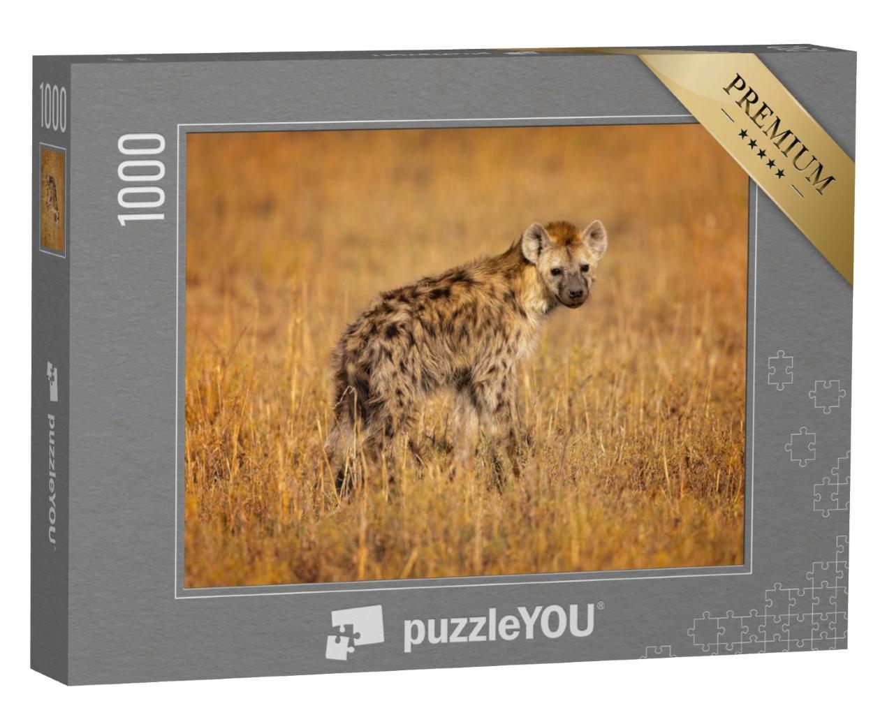 Puzzle de 1000 pièces « Hyène tachetée, également connue sous le nom de hyène souriante, originaire d'Afrique »